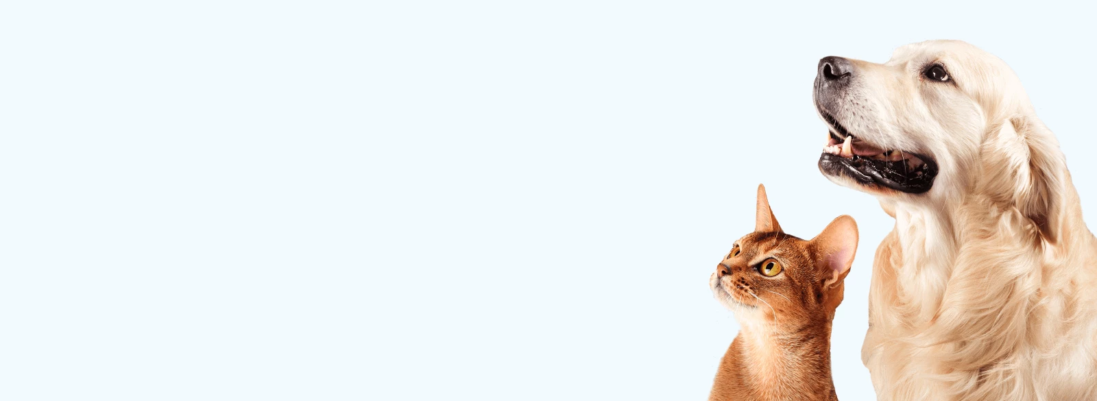 Doctor with dog