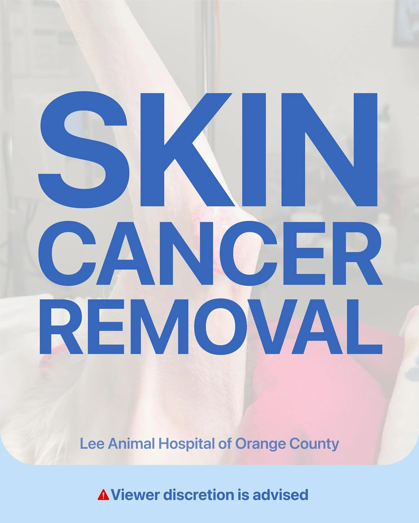 Skin Cancer Mass Removal – Xena 