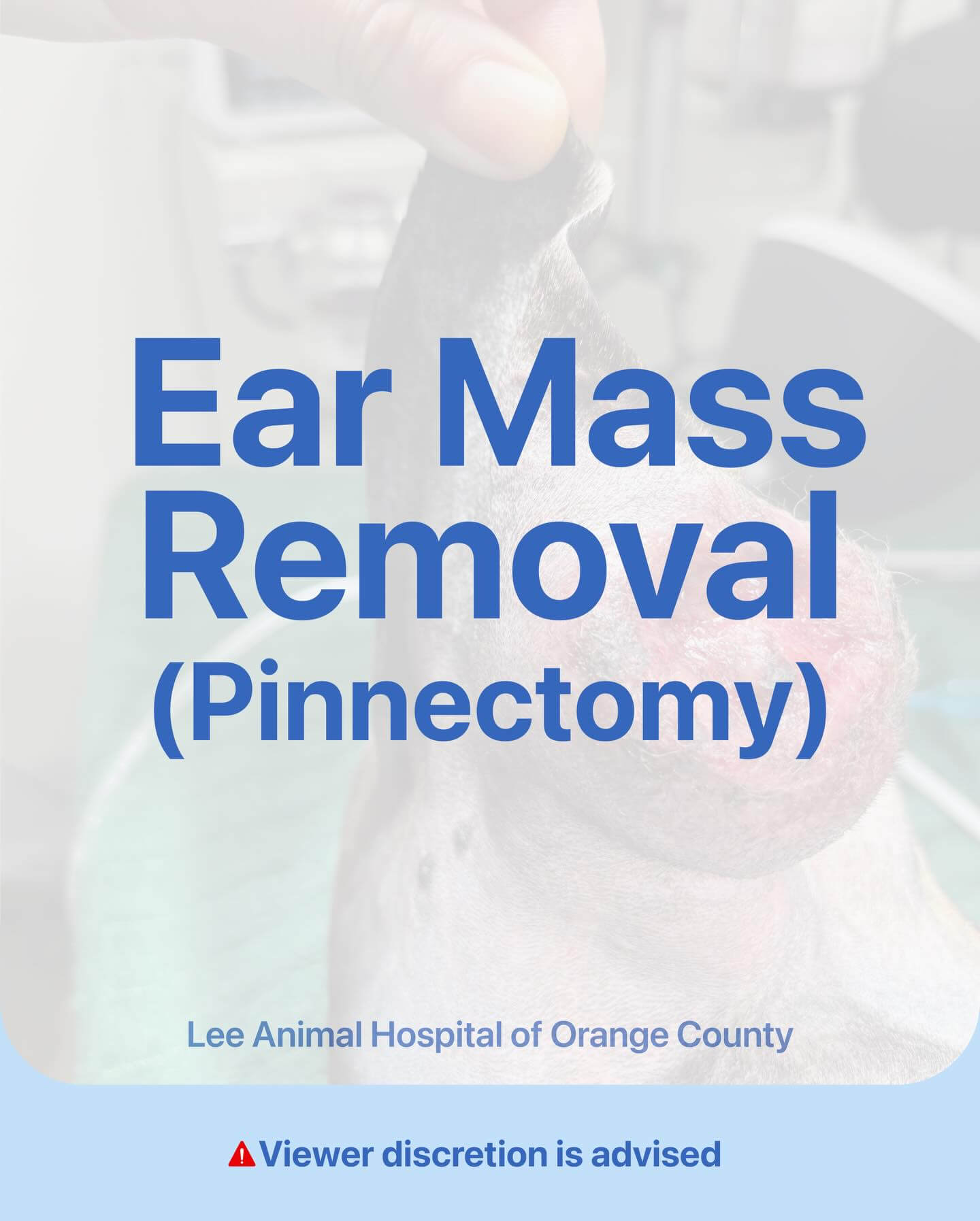 Mass Removal – Boxer